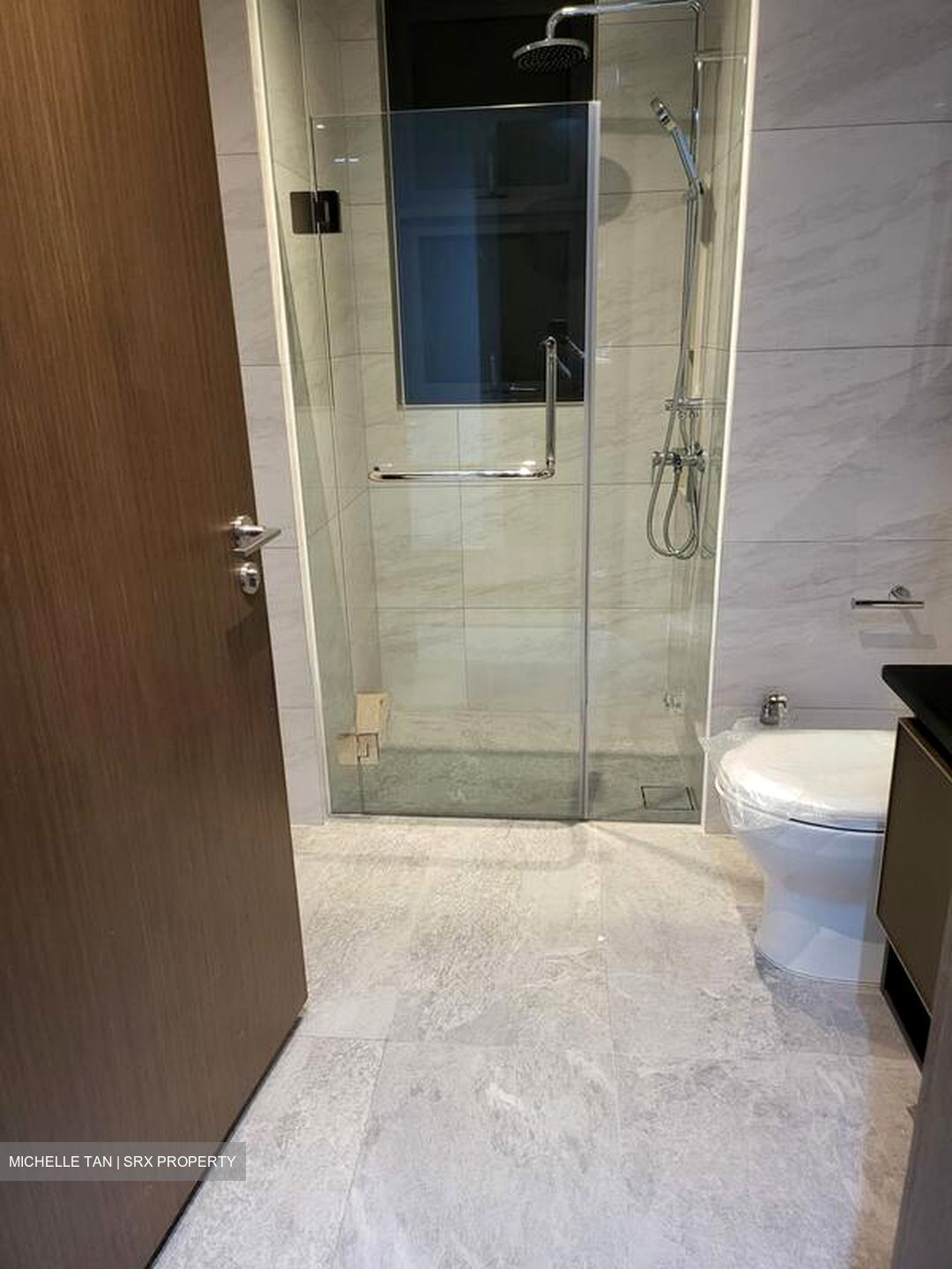 Normanton Park (D5), Apartment #497824421